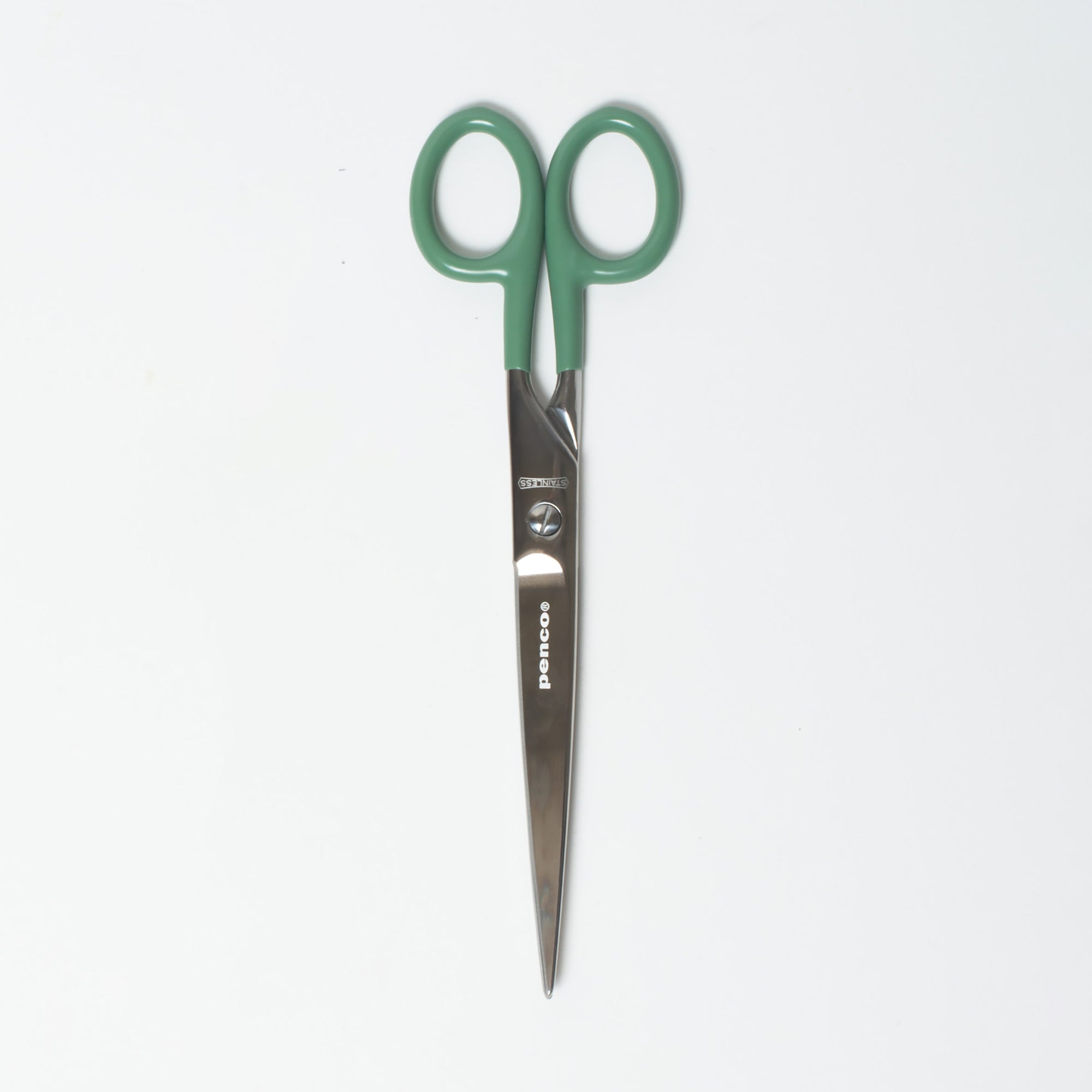 Large Stainless Steel Scissors, Green