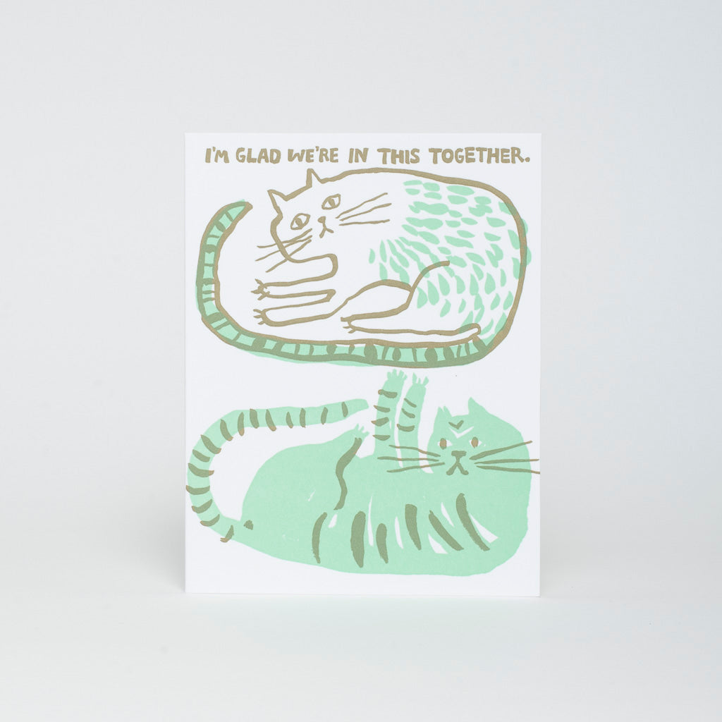 we're in this together cats friendship card